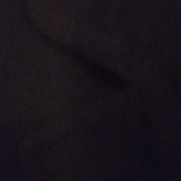 🧥 Calvin Klein Blazer - Picture 2 of 2